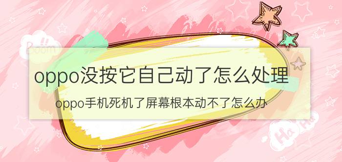 oppo没按它自己动了怎么处理 oppo手机死机了屏幕根本动不了怎么办？